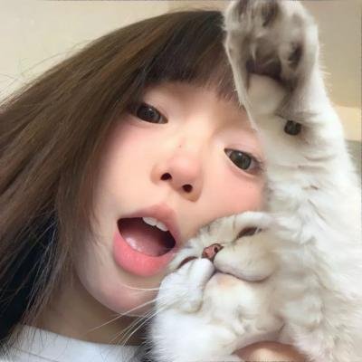 她的危险男友封面